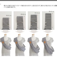 Betta ベッタ キャリーミーの画像