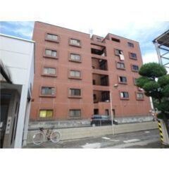 🧡💛フリーレント1ヶ月付き💛🧡スーパーコンビニ徒歩3分🎶エレベーターあり✨前橋駅徒歩13分🌟南向き🌞23.98㎡の1Rです😍💕 - 前橋市