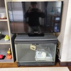 テレビ