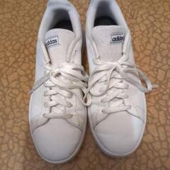 アディダス靴の画像