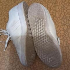 アディダス靴の画像