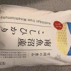 デュビア飼育セット200匹以上（爬虫類、両生類、熱帯魚などの餌