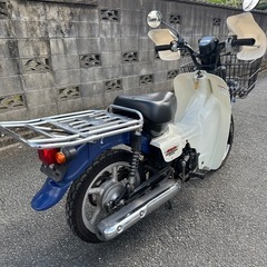 SUZUKI バディー50 車体の画像