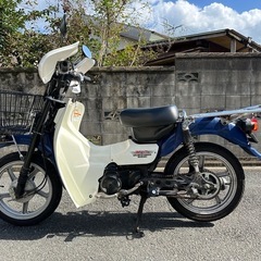 SUZUKI バディー50 車体の画像