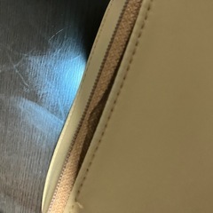 ダブルファスナーバックの画像