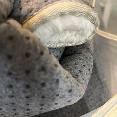 無料⭐️ニトリ人気カーペット⭐️