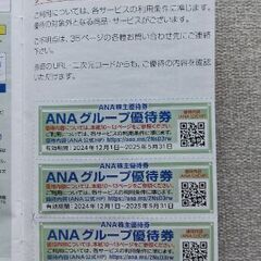 ANAグループ優待券
