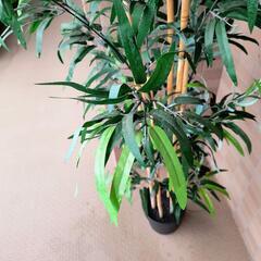 イケア人工観葉植物　竹　フェイクグリーンの画像