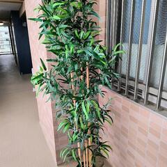イケア人工観葉植物　竹　フェイクグリーン