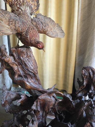 雉　剥製　4羽セット 雉 剥製 4羽セット 2025年最新】キジ剥製の人気アイテム - メルカリ