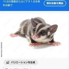 求む飼育に必要な物を格安でお譲りしてください