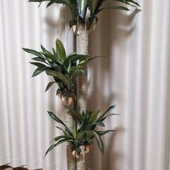フェイクグリーン・観葉植物・造花　ドラセナ　150㎝