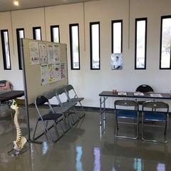 必見❣️【本巣市の方】‼️⁉️カイロプラクティック・骨盤調整体験会❣️ - 本巣市