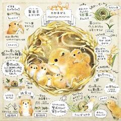 ハムスターの飼育セット譲ってください