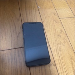 4月中に売れなければ削除します 
iPhone12 𝗣𝗿𝗼 128G