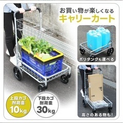 【受付終了】キャリーカート　運搬　買い物カートの画像