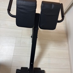 バックエクステンションの画像