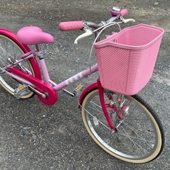 ブリジストン  エコパル　子供用自転車　20インチ　中古　取引き中❗️の画像