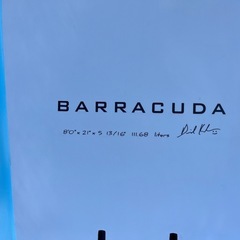 バラクーダフォイルボードの画像