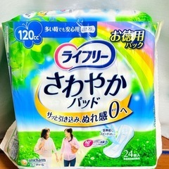 さわやかパッド 120cc 29cm  お得パック  24枚入 ...