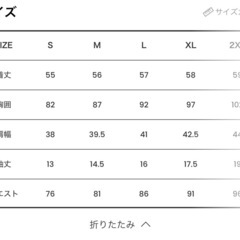 【未使用】半袖Tシャツ レディース カットソー 無地 クルーネック スリムの画像