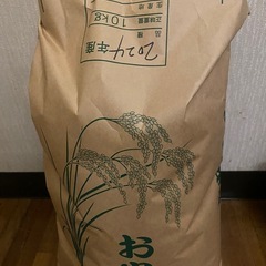 【早い者勝ち】無洗米10kg