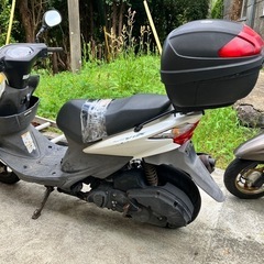スズキ　アドレスV125 スクーター
の画像