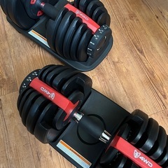 アジャスタブルダンベル、インクラインベンチ
の画像