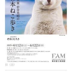 富士美術館チケット