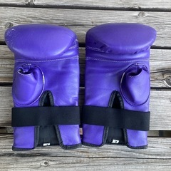 twinsパンチンググローブの画像