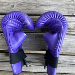twinsパンチンググローブの画像
