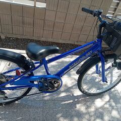 22インチジュニアサイクル