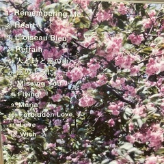 S.E.N.S 恋愛集の画像