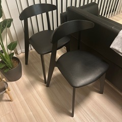 IKEA ダイニングチェア2脚 (TEDDDDYYYY) 馬込の椅子《ダイニング