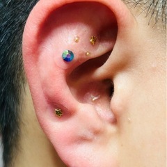 耳つぼ1day講座in松江の画像