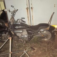 ホンダマグナの画像