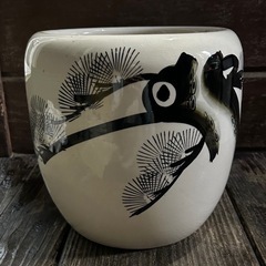 メダカ鉢