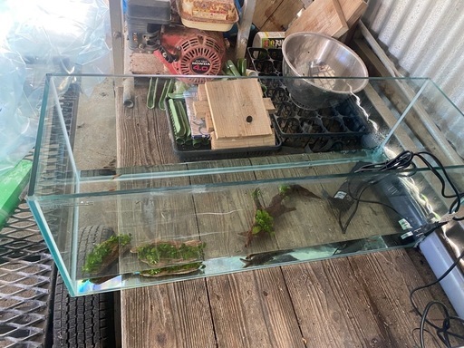 90cm水槽のみ (k-garage) てだこ浦西のその他の中古あげます