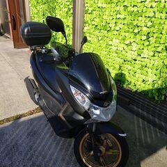 ＰＣＸ１２５ スペシャルエディション（ＪＦ２８・後期）ＥＳＰエン...