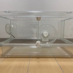 グラスハーモニー 450  (4月中はお値下あり→3000円まで可能)  ハムスターゲージ🐹の画像