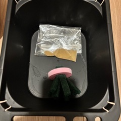 メダカ初心者セット