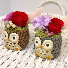 フクロウのフラワーアレンジメント♡の画像