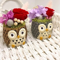 フクロウのフラワーアレンジメント♡の画像