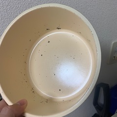 キッチン用品の画像