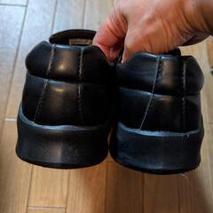 【美品】メンズ通勤靴25cmの画像