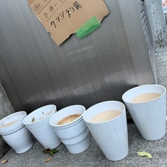 きれいめ植木鉢