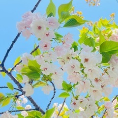 🌻全国グル新メンバー募集🌻