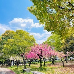 🌸全国グル新メンバー募集🌸