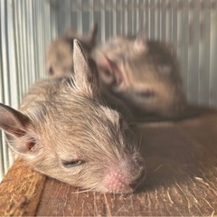 終了致しました。 - 相模原市