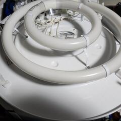 動作品　蛍光灯